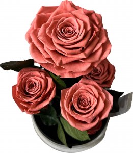 ToPrezent.pl Ogród w Szkle - 5 Zakonserwowanych Różowych Róż 2