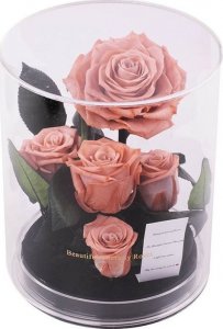 ToPrezent.pl Ogród w Szkle - 5 Zakonserwowanych Różowych Róż 3