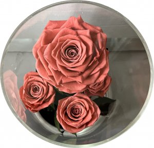 ToPrezent.pl Ogród w Szkle - 5 Zakonserwowanych Różowych Róż 4