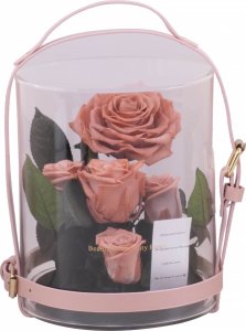 ToPrezent.pl Ogród w Szkle - 5 Zakonserwowanych Różowych Róż 8