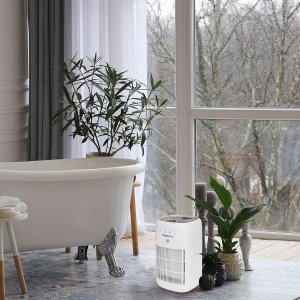 Webber Osuszacz powietrza Webber DEQ10 2