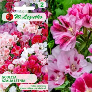Legutko Nasiona kwiatów kolorowych Aksamitka Godecja, 11g 2