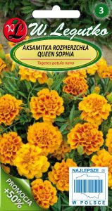 Legutko Nasiona kwiatów kolorowych Aksamitka Godecja, 11g 3