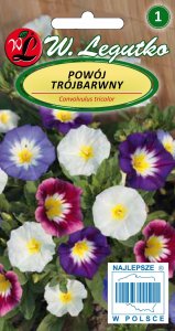 Legutko Nasiona kwiatów kolorowych Aksamitka Godecja, 11g 5