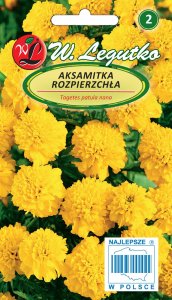 Legutko Nasiona kwiatów kolorowych Aksamitka Godecja, 11g 7