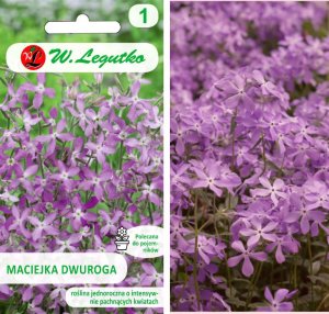 Legutko Nasiona Maciejka dwuroga różowolawendowa, 5x5g 2