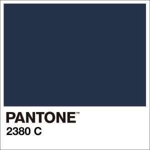 Słuchawki Pantone słuchawki Bluetooth PT-WH008 Navy 2380C nauszne 2