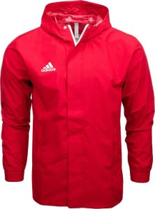 Kurtka męska Adidas Kurtka adidas ENTRADA 22 AW Jacket IK4013 1