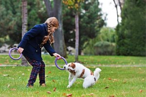 Collar PULLER MINI 18cm 2szt/op 18