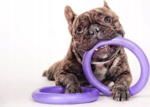 Collar PULLER MINI 18cm 2szt/op 19