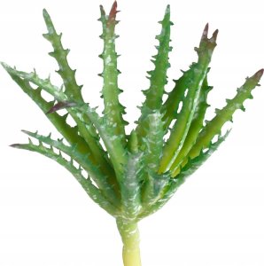 Emerald Emerald Sztuczny aloes z 2 kwiatami, w doniczce, 80 cm Lumarko! 1