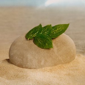 Gucci GUCCI FLORA GORGEOUS MAGNOLIA (W) EDP/S 50ML 5