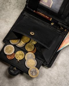 Peterson Zestaw Prezentowy: Skórzany Portfel Męski I Brelok 9