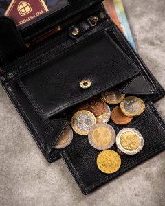 Peterson Zestaw Prezentowy: Pionowy, Skórzany Portfel Męski I Brelok 14