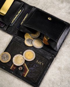 Peterson Zestaw Prezentowy: Skórzany Portfel Męski, Etui I Brelok 8