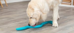 Trixie TX-34932 WĄŻ NA SMAKOŁYKI TPR 59cm  /3 6