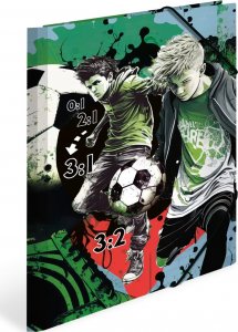 Herma HERMA  Sammelmappen A4 Karton Street Soccer 5