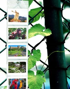 Caiul Wiszący Album Ścienny Na 5 Zdjęć 11 X 8 Cm Wide Photo Album 2