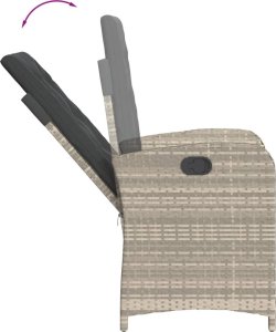 vidaXL 9-częściowy zestaw mebli ogrodowych z poduszkami, jasnoszary 5