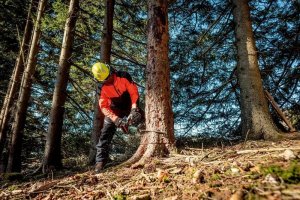 Piła łańcuchowa Metabo PILARKA LANCUCHOWA AKU. MS 36-18 LTX BL 40 8