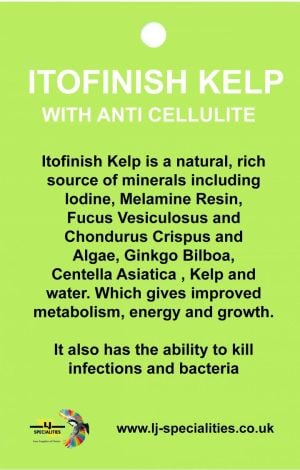 Gwinner Legginsy BELLY CONTROL LEGGINGS Climaline + czarne XL 22