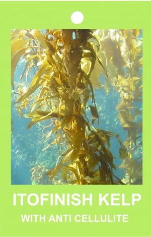 Gwinner Push-up Leggings Anti Cellulite czarne r. L 3