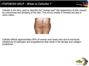 Gwinner Push-up Leggings Anti Cellulite czarne r. L 4