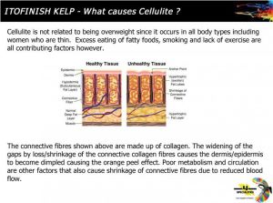 Gwinner Push-up Leggings Anti Cellulite czarne r. L 5