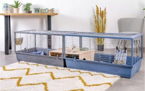 Zolux Neolife Connect dla królika i kawii szara (205441GRI) 3