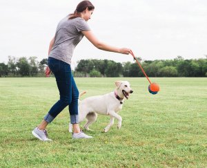 Chuckit! Chuckit! Rope Fetch [32220] 5