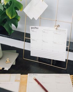 Harry Potter Harry Potter - Planner tygodniowy z karteczkami samoprzylepnymi (19,3 x 16,5 cm) 7