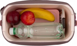 Lodówka turystyczna Polarbox Polarbox 6L Urban Classic Mauve-Gold 15