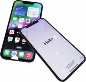 Karl Lagerfeld Karl Lagerfeld PU Saffiano Karl ir Choupette NFT atverčiamas dėklas, skirtas iPhone 13 Pro Max Juodas 3