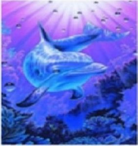 Norimpex Malowanie Po Numerach Delfin W Głebinach 50x40 1