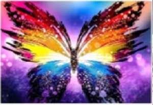 Norimpex Malowanie Po Numerach Motyl Kolor Transparentny 50x40 Cm 1