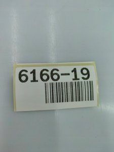 Papo Smok dwugłowy 10