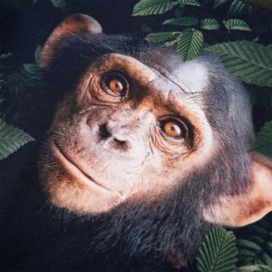 vidaXL Bluza dziecięca, khaki, 104 4