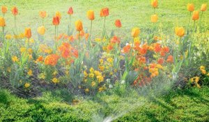 Forester Dysza Podlewaczka Zraszacz do zraszania Forester 8639 3