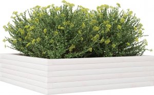 vidaXL Donica ogrodowa, biała, 90x90x23 cm, lite drewno sosnowe 4