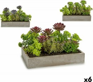 Ibergarden Roślina Dekoracyjna Sukulent Plastikowy Cement 16,5 x 20 x 28,5 cm (6 Sztuk) 1