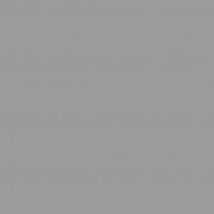 vidaXL Szopa ogrodowa, szara, 277x93x179 cm, stal galwanizowana 8