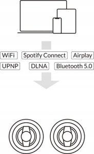 Kolumna Arylic Arylic WBC65 Bezprzewodowe Głośniki Multiroom z wbudowanym wzmacniaczem i streamerem 3
