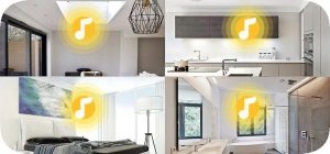 Kolumna Arylic Arylic WBC65 Bezprzewodowe Głośniki Multiroom z wbudowanym wzmacniaczem i streamerem 4