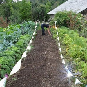 Kinzo Kinzo - Taśma do ogrodu drzew odstraszająca ptaki dł. 45 m 6