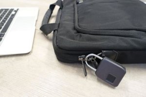 Schwaiger Schwaiger Fingerprint Schloss mit Stahlbügel 8