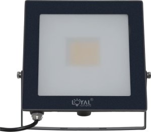 Naświetlacz Loyal Lighting LAMPA Zew. LED Loyal Lighting 4250lm LUMILEDS IP65 4K 3