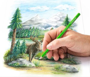 Staedtler "Design Journey" Metalowe etui z 72 kredkami 14