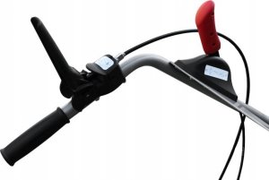 Zipper Zipper ZI-KM1000 Sweeper 6