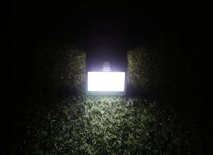 REV REV Solar LED Butterfly with Motion Detector 1,5W black 2