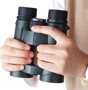 Lornetka Vanguard Vanguard VEO HD  10x42 13